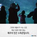 이상한나라의수족관