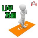 요가나무 - 동구 화랑로 413 | 요가나무