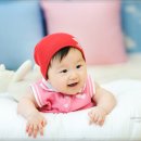 꼬노꼬노 이미지