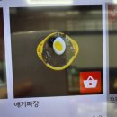 진짬뽕 - 화성시 화성로 1196 | 화성 송산면 짬뽕 맛집 추천! 진짬뽕 화성직영점 후기!