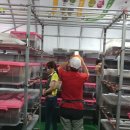 다온농장2 이미지