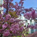 교하푸른약국 이미지