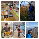 RE:일본 다이센 트레킹(11/7~11/9) 이미지