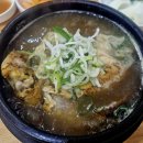 상쾌한이비인후과 앞 | 2026.01.26 ~ 31 머니로그, 하이원 스노우월드 내돈내산 솔직후기