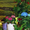 라이네쎄 - 2644 | 라이네쎄