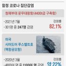 파병함정 82% 감염… 軍통수권자는 아무말이 없다 청해부대 301명 중 247명 확진… 이미지