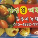 흥부농원