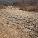 속초초 좌운분교장 | 홍천군 동면 좌운리 - 생산관리지역/가축사육제한구역/1,247평/평당15만원