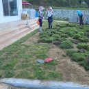 남해조경농원 이미지