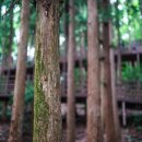 부산어린이대공원 이미지