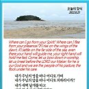 오늘의 양식