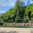 묵계교회 옆 이미지