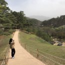 중부-현장-중부-955 | 2021.04.영월