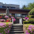 도토리민박 | 춘천펜션 도토리 힐스테이 풀빌라 애견동반