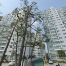 내곡동476 이미지