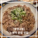 중앙 하이웰빙 휘트니스 | 노원역 혼밥 맛집 동경규동 가성비 정통 일본 가정식 규동 맛집