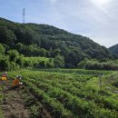 조계환농장 이미지