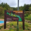 거꾸로 옛이야기나라숲 | 아이와 실내 체험하기 좋은 상주 거꾸로옛이야기나라숲 다녀온 후기