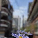 골목지기 이미지