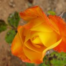 소민의 지난 여름 이야기-나의 정원 이미지