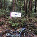 환상의섬 이미지