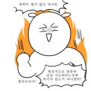 (주)보쉬전장 | 취뽀후기_끝나지 않을 것 같던 취준이 이렇게 갑자기 끝이라니