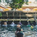 핑크비치 이미지