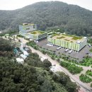 데일리수산