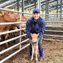 연한우목장 이미지