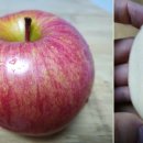 윤서농장 이미지