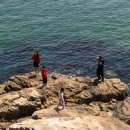 지세포로 이미지