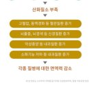 리프티드 이미지