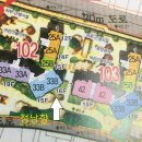 금호1차아파트 이미지