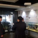영도대통전수방프로젝트 | 도시재생을 말하다 10. 기업 주도 도시재생 - 부산 영도구, 삼진어묵의 대통전수방 사례