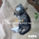 수원-0168 네이버블로그