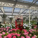 남원읍-76 | 12월 제주도 힐링 가족여행, 휴애리, 물영아리오름습지, 식당 교래