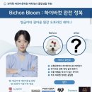 쌍금이네 이미지