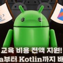 멋쟁이사자처럼 이미지
