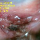 열린동물병원 이미지