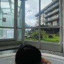 곰할인마트2 | 여행 일정ㅣ벨베데레 온천 준비물 이용후기 및 비용, 베른 관광 시계탑 곰공원 장미공원 젤라또 햄버거맛집