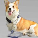 (주)리드 이미지