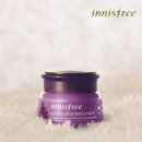 제주의 한란 이미지