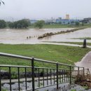 세종 태양광발전소 이미지