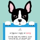 앤애견샵 이미지