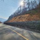 지방도925호선 이미지