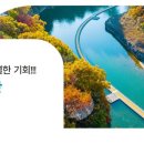 철원 한탄강 얼음트레킹 축제 티스토리