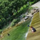 풍경캠핑장 이미지