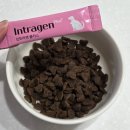 꼬까밥 | 꼬까 별명은 꼬까뿡. 방귀를 너무 많이... 그래서 먹여본 '인트라젠 플러스' 강아지 유산균