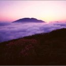 지리산 Daum카페