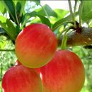 8월 11일 월요일 간추린 뉴스와 날씨 이미지